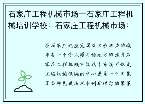 石家庄工程机械市场—石家庄工程机械培训学校:石家庄工程机械市场:打造工程机械领域的中心
